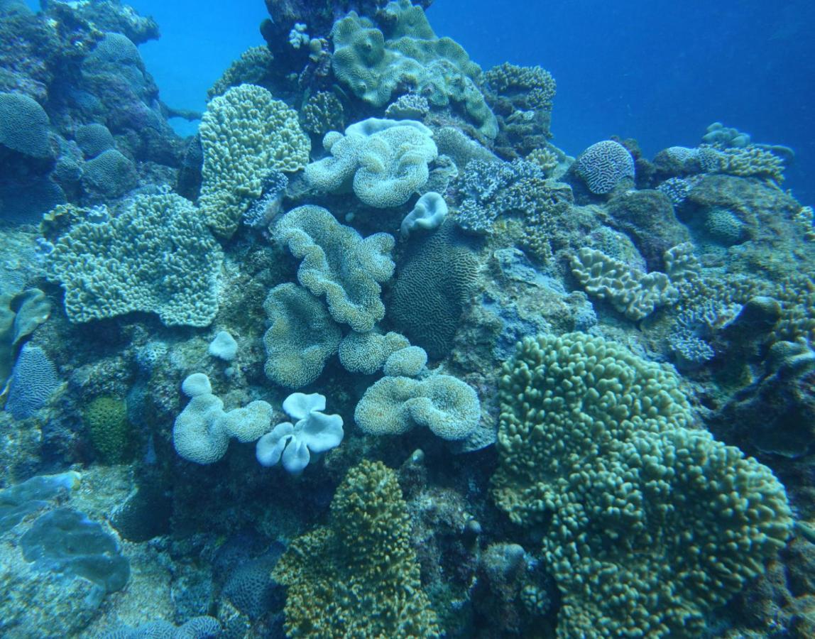 Lily Pad Lodge Bambou Luaran gambar