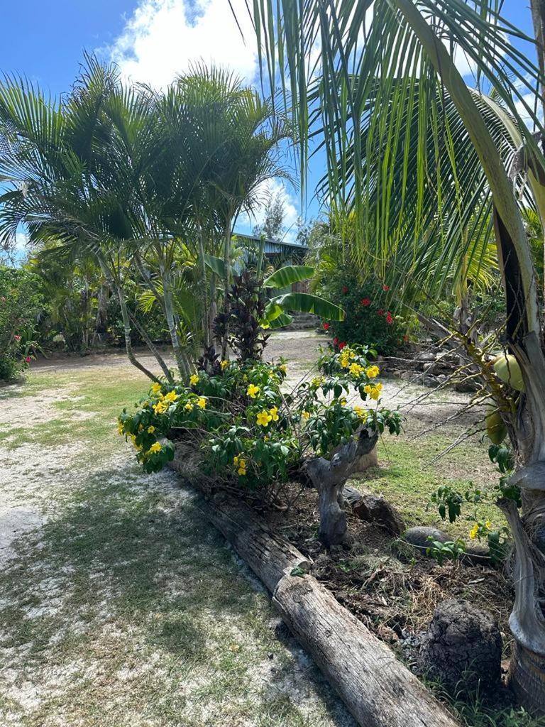 Lily Pad Lodge Bambou Luaran gambar
